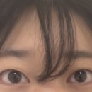 래쉬스튜디오 무무 네이버블로그