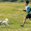 도그니엘 이미지