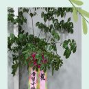세진세무회계사무소 - 화성시 병점3로 24 | 세진세무회계사무소