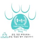 펫 스토리[Pet Story] 이미지