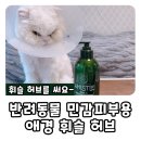 애경 동물병원 | 고양이 오버 그루밍 약용샴푸 애경 휘슬 허브 4 알레르기 민감 피부