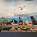 땅끝해양자연사박물관 이미지