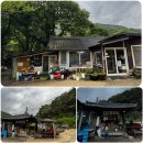 칠성민박 | 나 혼자 산다 키가 추천한 강원도 약초능이백숙 맛집 솔직리뷰