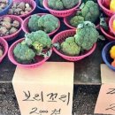 한동리만두