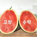 고창수박 숙성 씨제로8kg36.500=＞20% 29.200원 50통 이미지