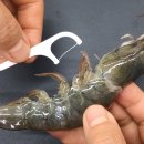 Remove Shrimp Veins in 3 Seconds with a Toothpick – Quick &amp; Clean! 이미지