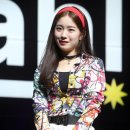 우연 이데일리