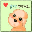 F51 | 야마하 전자 키보드 피아노 FSR-F51 사용 후기 / 호루스벤누 전자 키보드 스탠드 리뷰