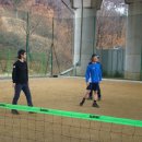 영초산삼 이미지