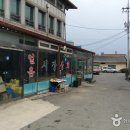 장수천변길 티스토리