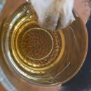 드림바이오텍 | 드림라라차 카페인없는 숙면에좋은차 만족후기