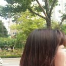 미장서얼