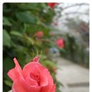 단성면 복지회관 이미지