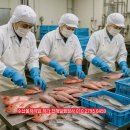 수산행정사사무소 이미지