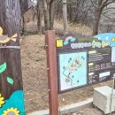 매직카랜드 이미지