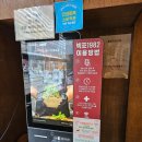 빅포1982 부천중동점 | 빅포1982 부천중동점 부천시청 쌀국수맛집 내돈내산 방문 후기