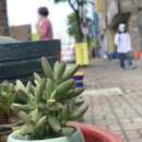 나이스카세차장 이미지