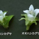 탐라우 티스토리