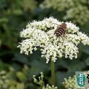 지리산자연밥상