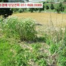 (구)풍천중학교 이미지