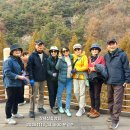 대천농업협동조합 | 대천해수욕장 2025.11.13 목요일