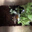 태준농장 이미지