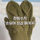 모아뜨개 | [뜨개로그] 한림수직 손모아 장갑 패키지 오름그린 후기