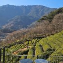 피아골 숲숨집 이미지