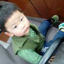 프리마트 이미지