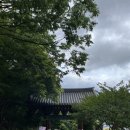 강진슈퍼 | 즐기고_ 담양여행, 전라도여행, 담양국수거리, 죽녹원, 담양 메타세쿼이아, 담양메타프로방스, 광주...
