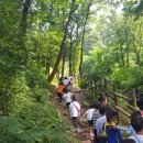 항도유치원 이미지