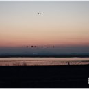 아산만순대국 이미지