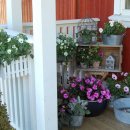 자연이숨쉬는집 이미지