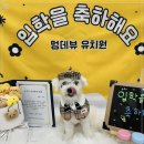 몽글몽글애견유치원 이미지