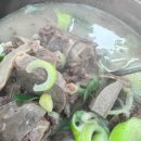 청와(아) 이미지