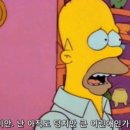 주옥같은인생
