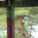 장유유도관 | 나주 고송당(孤松堂)