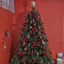 어반센터프라자 | 평택 고덕 사진관 | 5살 아이 크리스마스 인생사진 후기