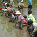수곡초등학교 이미지