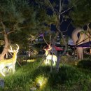 시민운동장(공중) 이미지