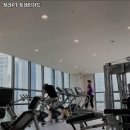 트레인하드 이미지