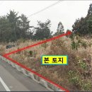 수산리-8 이미지