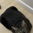 다복향 마라탕 목동점 이미지