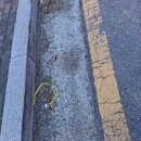 춘천시풍물시장 공영주차장 입구 네이버블로그
