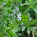 정생목장 이미지