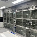 수 동물병원 이미지