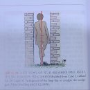 올핏ALLFIT 이미지