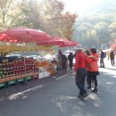 강천산(광주) 이미지