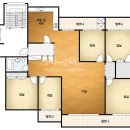 국화한신 이미지