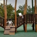 코끼리 게임장 이미지